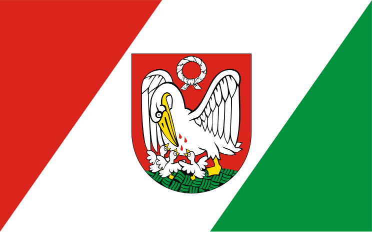 File:POL Szubin flag.svg