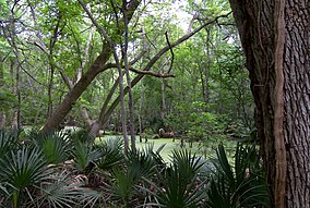 Státní park Palmetto.jpg