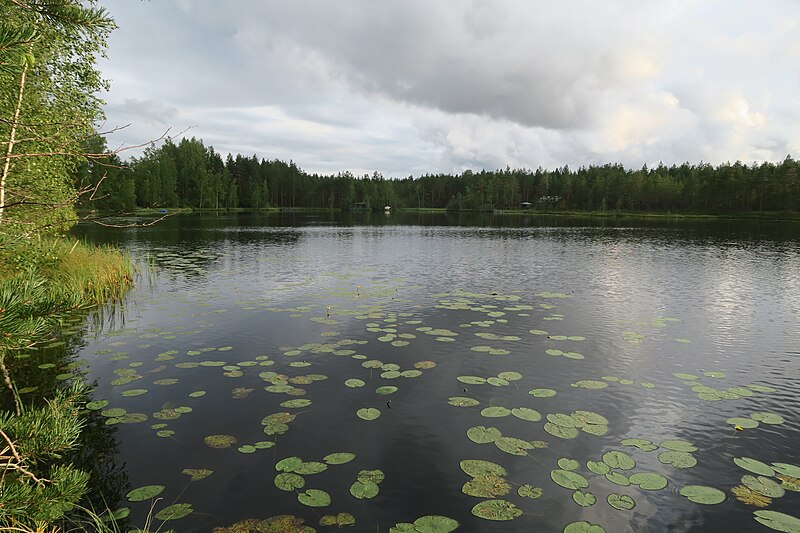 File:Pappisten Pikkujärvi Loimaalla elokuussa 2018.jpg