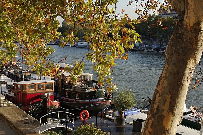 File:Paris Port Tuileries 2012.jpg