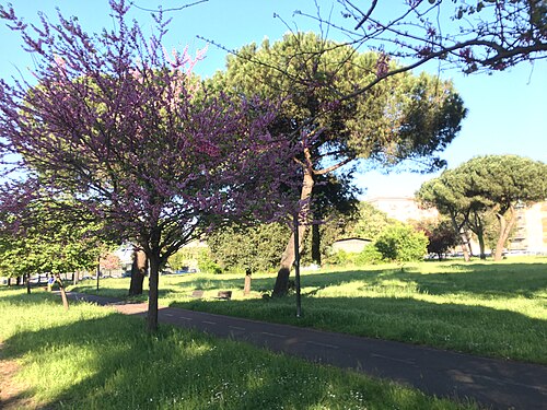 Park of the Solidarietà in Rome