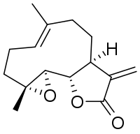 Parthenolide makalesinin açıklayıcı görüntüsü