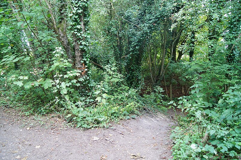 File:Path off the railway embankment - geograph.org.uk - 4364946.jpg