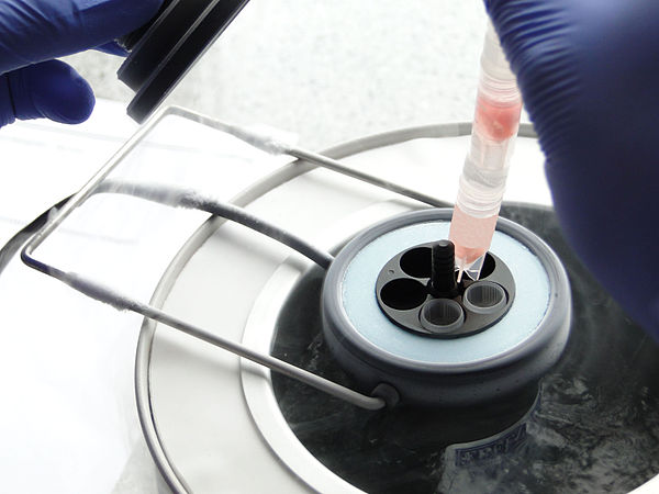 Tubes of biological samples being placed in liquid nitrogen