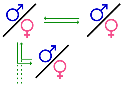 File:Polygamy 01.svg