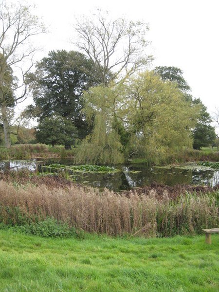 File:Pond in the park at Killerton - geograph.org.uk - 1010531.jpg