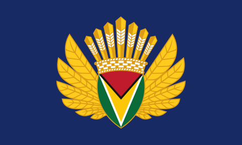 File:Presidential Standard of Guyana - President Irfaan Ali.svg