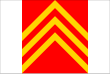 Vlag