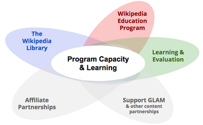 Program Capacity and Learning model.png