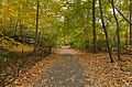 * Nomination A trail in Prospect Park, Brooklyn. --King of Hearts 04:53, 12 September 2016 (UTC) * Promotion Good quality. --Johann Jaritz 04:58, 12 September 2016 (UTC)