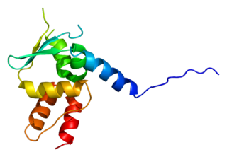 <span class="mw-page-title-main">Gigaxonin</span> Protein-coding gene in the species Homo sapiens