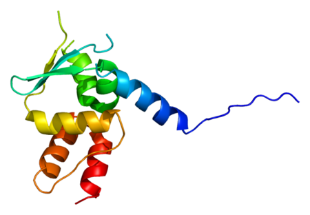 Protein GAN PDB 2ppi.png