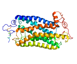 Protein TACR1 PDB 2KS9.png