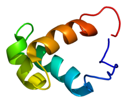 Protein TADA2L PDB 1x41.png