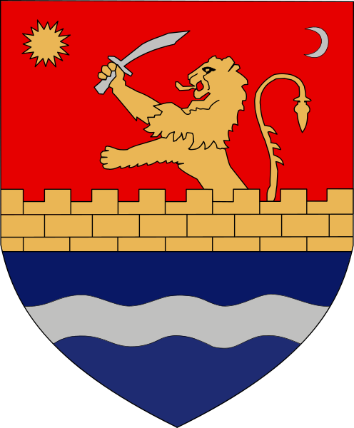 File:ROU Timis County CoA.svg