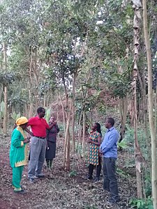 NETFUND Green Innovations Award recognized and granted Rachel as a passionate environmentalist. They regularly visit to monitor her ongoing activities as the government body mandated to empower Kenyans to sustainably manage the environment through promotion and support of green growth.