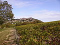 Rallye des vignobles dans l'AOC sancerre (4).jpg