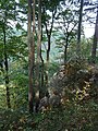 Ramsfelsen oberhalb Kuchen