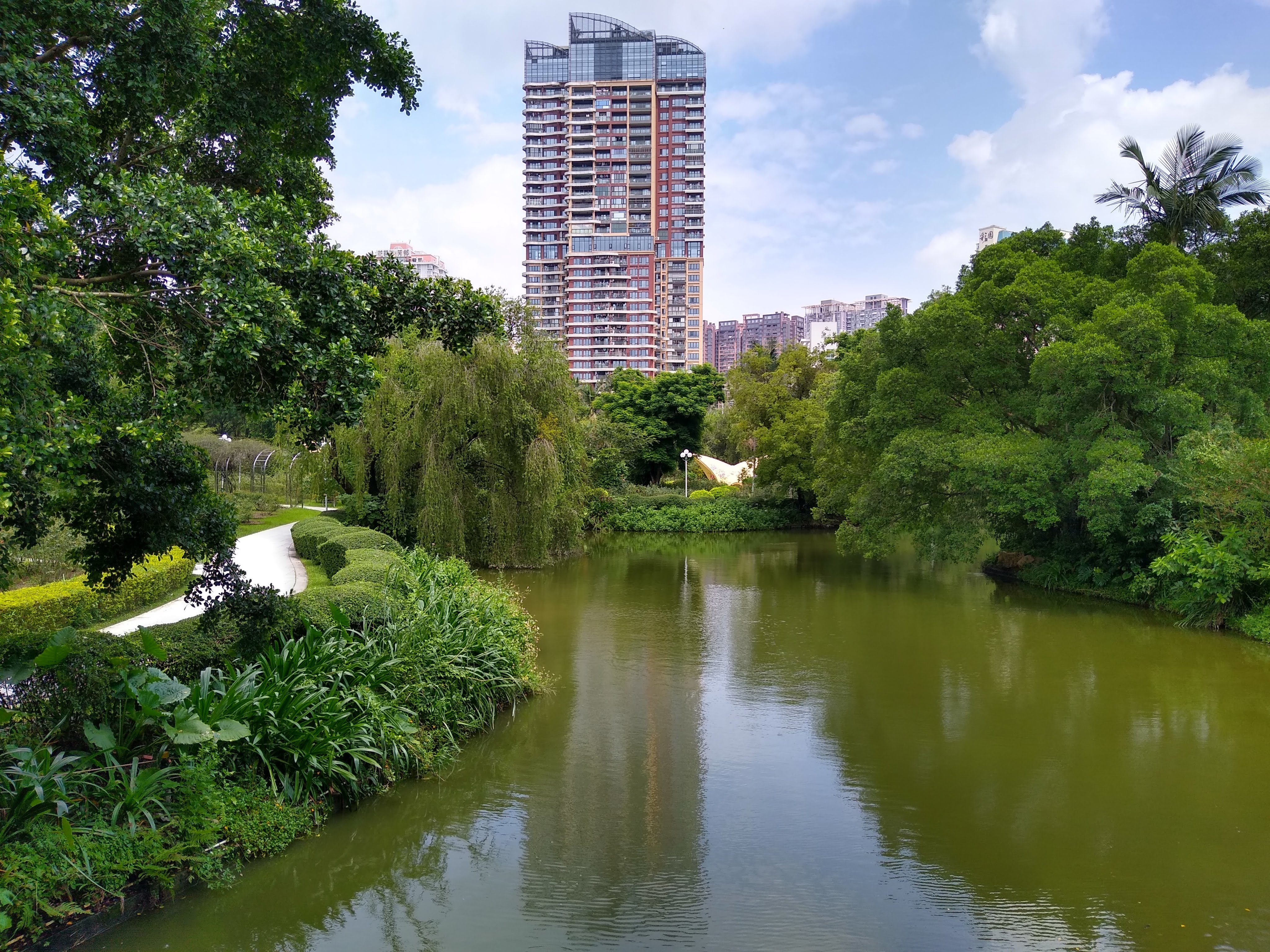 Shenzhen city guangdong province. Шеньжень парк. Парк в Шэньчжэне. Провинция Гуандун город Шэньчжэнь. Центральный парк Шеньчженя.