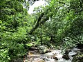 Río San Lorenzo in den argentinischen Yungas bei Salta, Argentinien