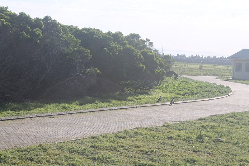 File:Robben Island, July 2018 (8).jpg