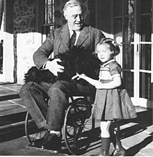 Franklin Delano Roosevelt, suffering from polio, required a wheelchair through his Presidency. Rooseveltinwheelchair.jpg