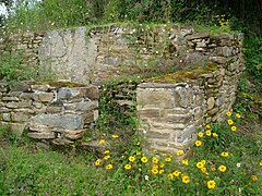 Ruins and flowers 3.JPG