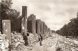 Колонны римского периода на улице Столпов из города Себастия[en] времён царя Ирода среди руин города Самария.