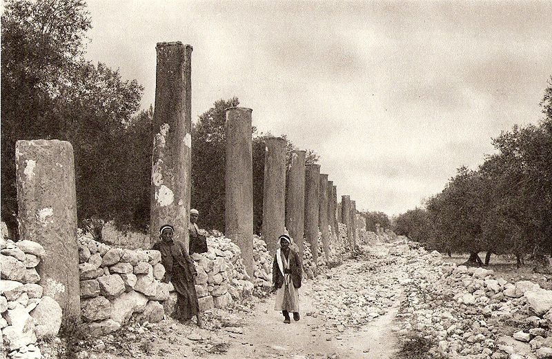 File:Ruins of Samaria.jpg