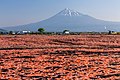 2021年8月31日 (火) 02:46時点における版のサムネイル