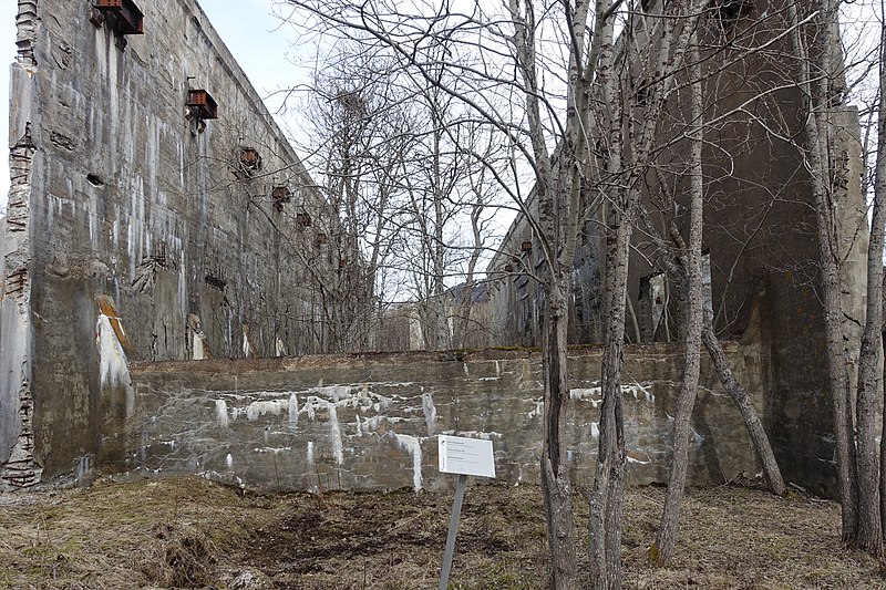 File:Salangsverket Reinforced concrete ruins of industrial iron ore mining 1907–1912 (jernbrikettstøperi havn etc) Langneset Sagfjorden Salangen Troms Northern Norway Spring Naked trees 2019-05-07 (steinmalingsmølle) 09245.jpg