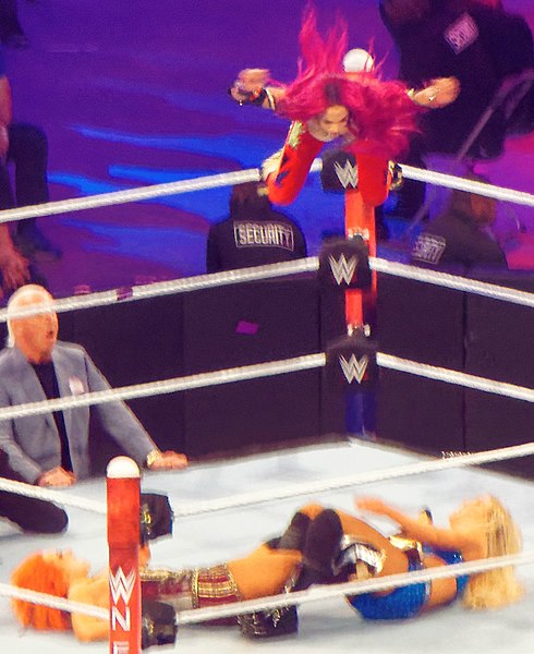 File:Sasha Banks Frog splash tribute Wrestlemania 32.jpg