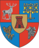 Bezirk Satu Mare - Wappen