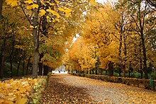 The Schönbrunn gardens in autumn