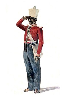 Sepoy of 29th Madras Native Infantry. (Watercolour by Alex Hunter, 1846) Sepoy, 29th Madras Native Infantry. Watercolour by Alex Hunter, 1846.jpg
