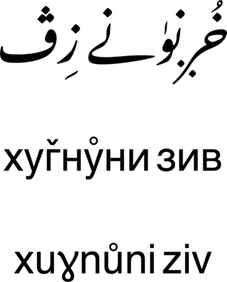 <span class="mw-page-title-main">Shughni language</span> Pamir language of Tajikistan, Afghanistan, Pakistan and China