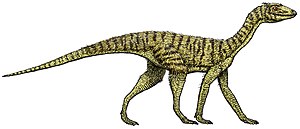 Silesaurus opolensis flipped.jpg