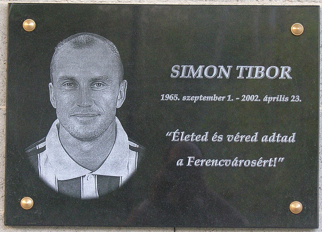 Tibor Simon