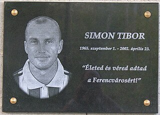 <span class="mw-page-title-main">Tibor Simon</span> Hungarian footballer and manager