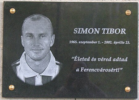 Simon Tibor Üllői út 129..jpg