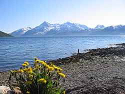 Kvaløya mäed Skulsfjordilt nähtuna