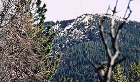 Neĝo Mountain.jpg