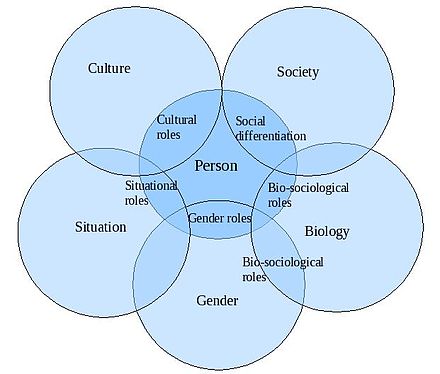 Social type. Social roles and social Norms. Societal social разница. Control Theory (Sociology). What is Society.