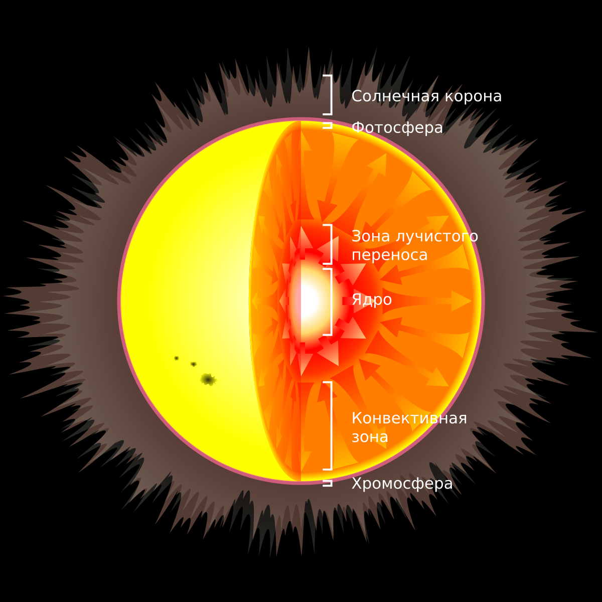 Что внутри солнца. Зона лучистого переноса солнца. Таблица Фотосфера хромосфера Солнечная корона. Строение солнца зона лучистого переноса. Солнце Фотосфера хромосфера Солнечная корона.