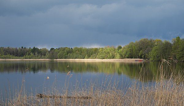 Sunlight after heavy rain