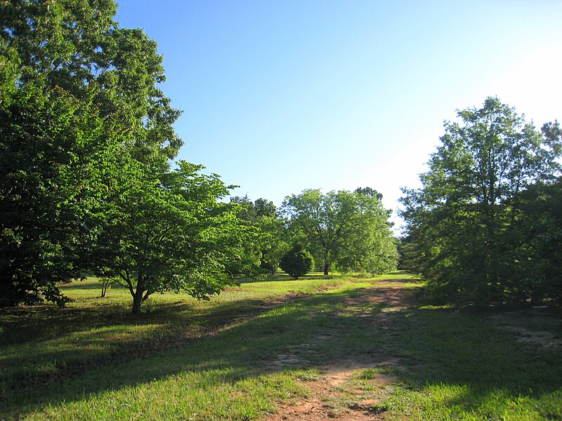 File:South Carolina Botanical Garden - arboretum 2.JPG