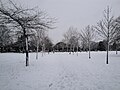 Milton Park, Southsea, Hampshire, seen after heavy snowfall in the area in January 2010.