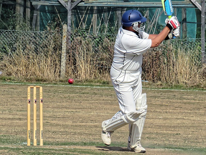 File:Southwater CC v. Chichester Priory Park CC at Southwater, West Sussex, England 005a.jpg