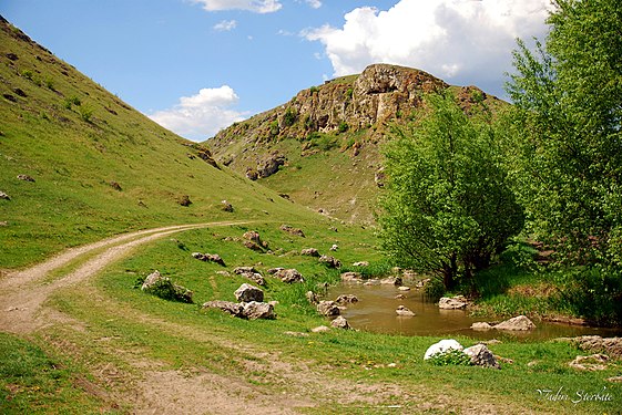  Complexul geologic din bazinul r. Lopatnic Vadim Șterbate