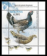 Moldavská známka (2007)